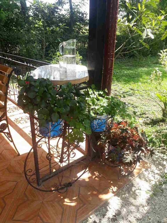 Guest House Danelia Мартвили Екстериор снимка
