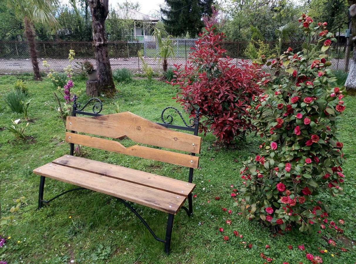 Guest House Danelia Мартвили Екстериор снимка